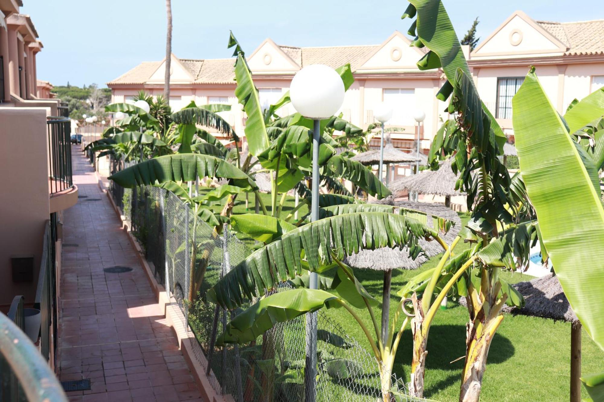 Playa La Barrosa, Alojamientoslola Чиклана-де-ла-Фронтера Экстерьер фото